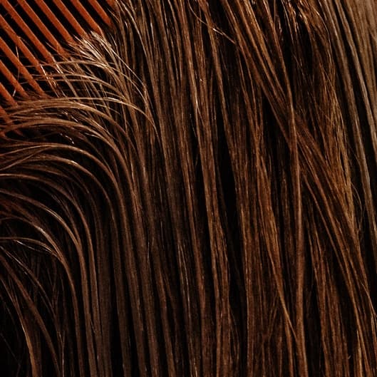 Loyalty GlossColor membership at The Revo Beauty Parlor in Carolina, PR